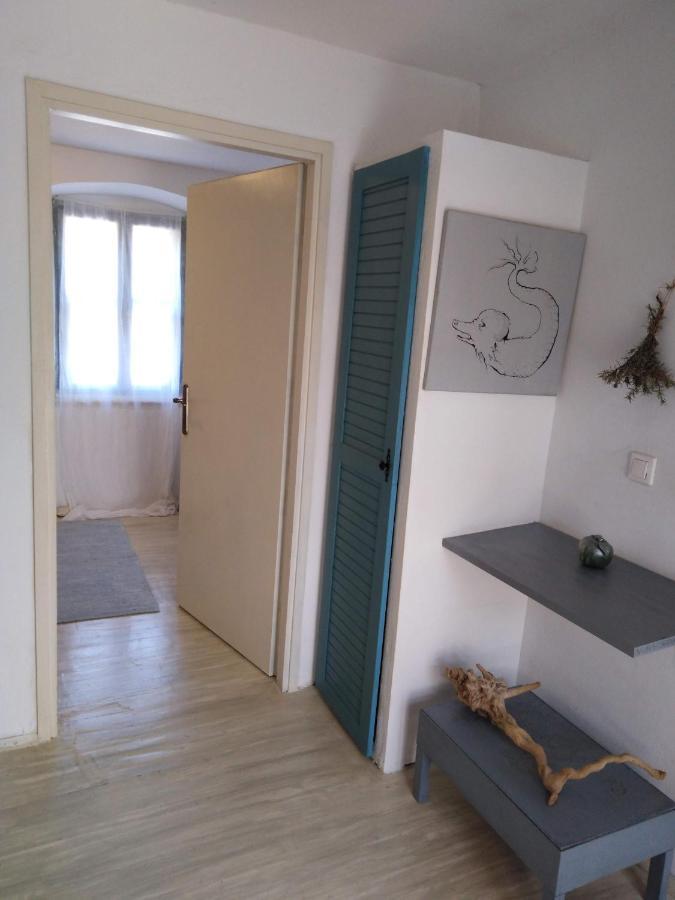 Ammonite Apartamento Premantura